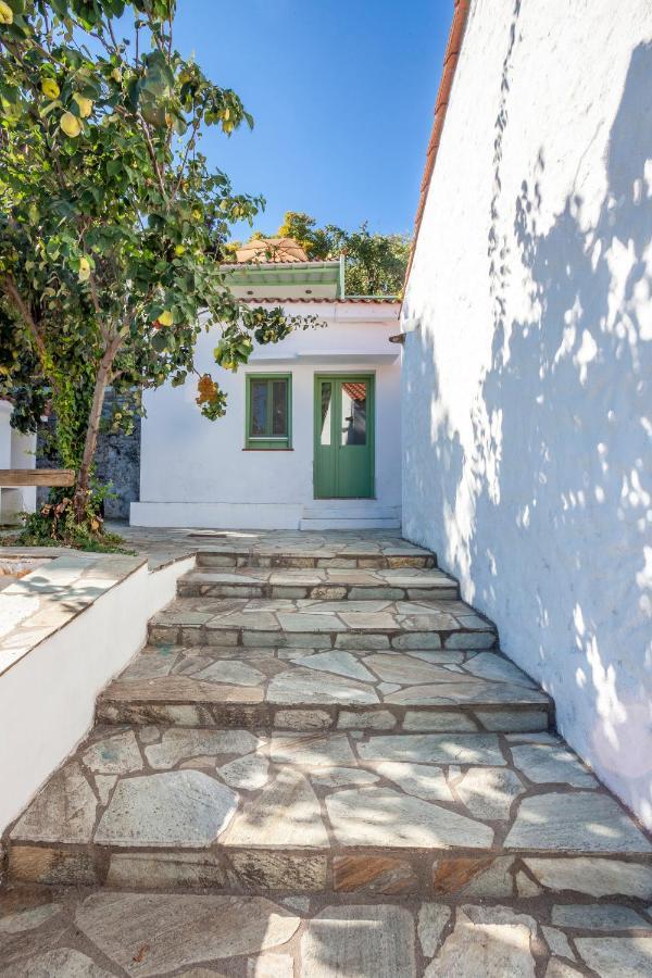 Olea Skopelos Villas With Swimming Pools & Sea View Panormos  Buitenkant foto