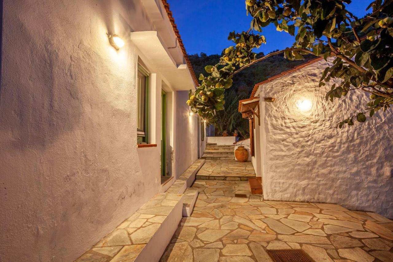 Olea Skopelos Villas With Swimming Pools & Sea View Panormos  Buitenkant foto