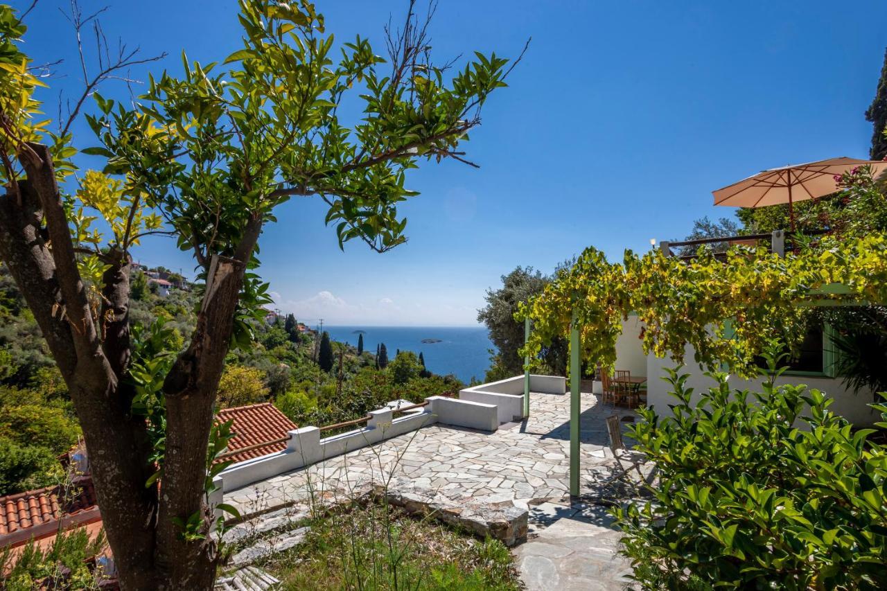 Olea Skopelos Villas With Swimming Pools & Sea View Panormos  Buitenkant foto