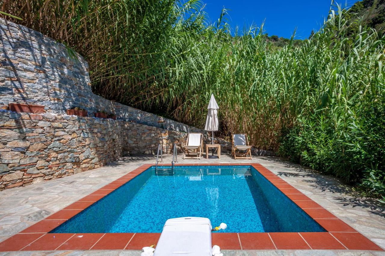 Olea Skopelos Villas With Swimming Pools & Sea View Panormos  Buitenkant foto