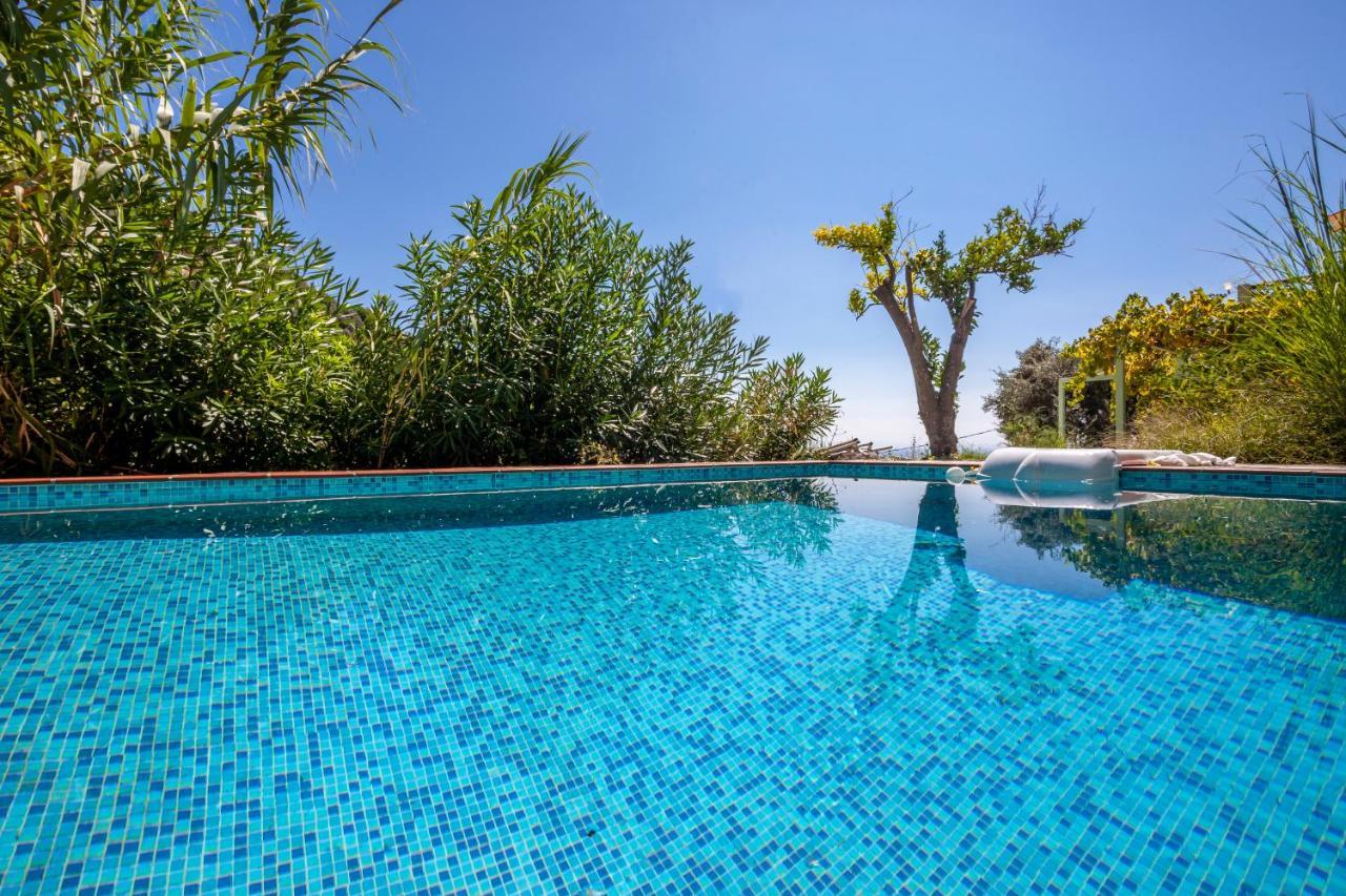 Olea Skopelos Villas With Swimming Pools & Sea View Panormos  Buitenkant foto