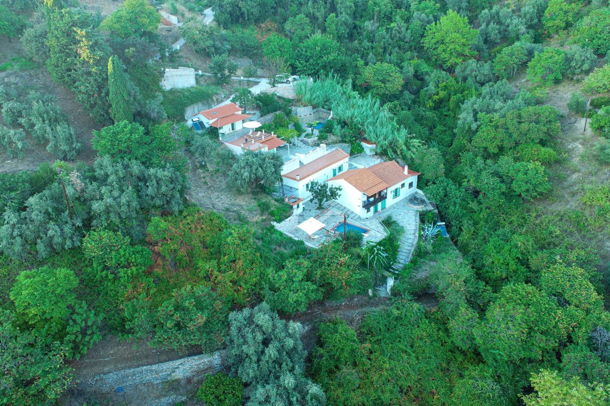 Olea Skopelos Villas With Swimming Pools & Sea View Panormos  Buitenkant foto